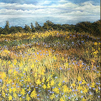 Flowers of Autumn