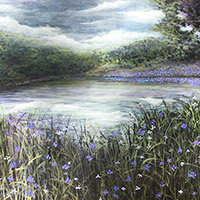 Spring Marshes